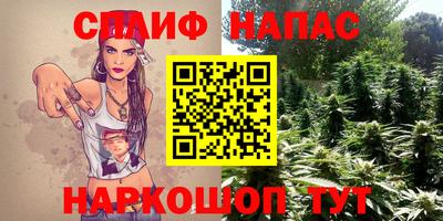 спиды Заволжье