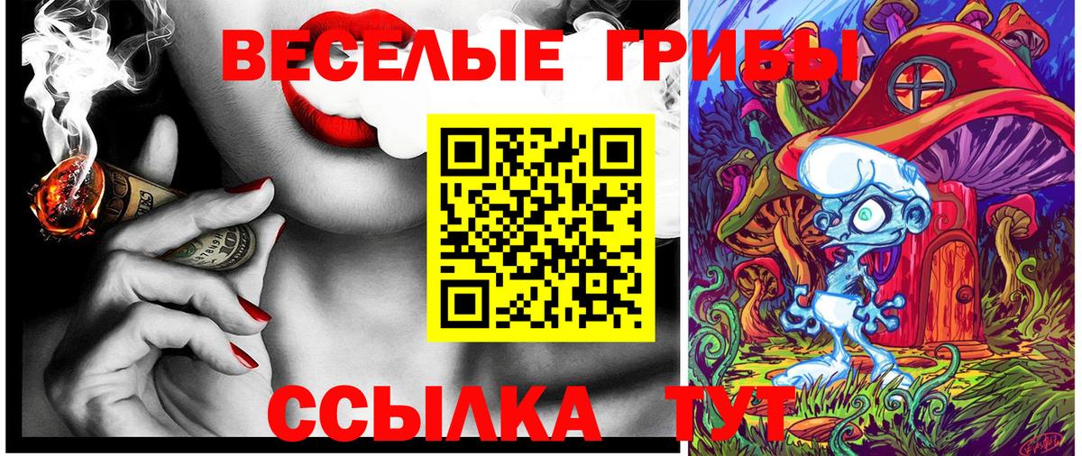 Псилоцибиновые грибы MAGIC MUSHROOMS  Вход с VPN  Волгодонск  Псилоцибиновые грибы прущие грибы 