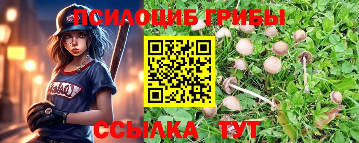 Галлюциногенные грибы мухоморы Волгодонск